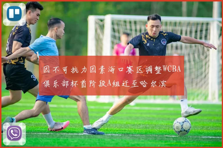 因不可抗力因素海口赛区调整WCBA俱乐部杯首阶段A组迁至哈尔滨