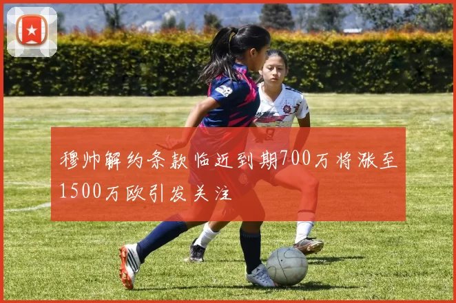 穆帅解约条款临近到期700万将涨至1500万欧引发关注